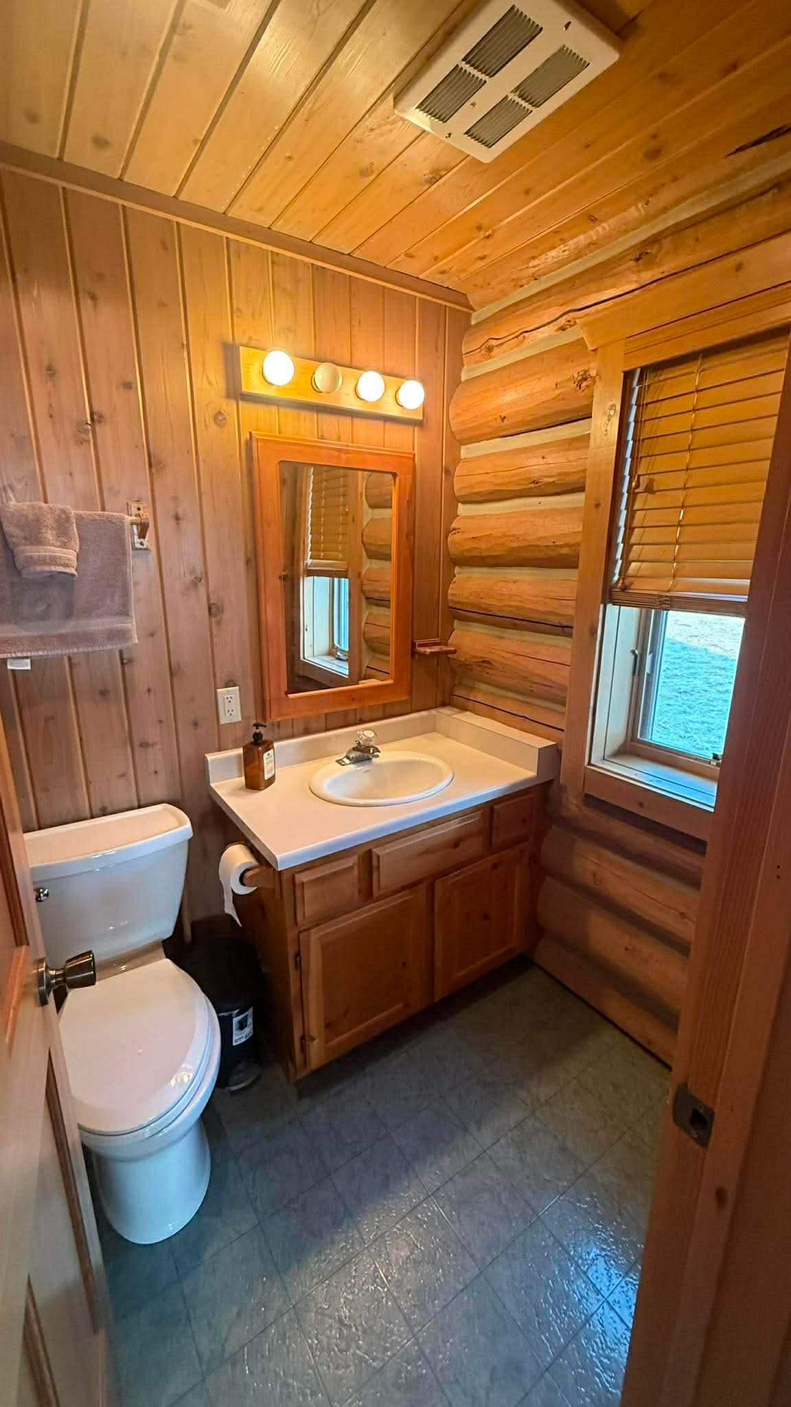 Bathroom with log accent wall and vanity