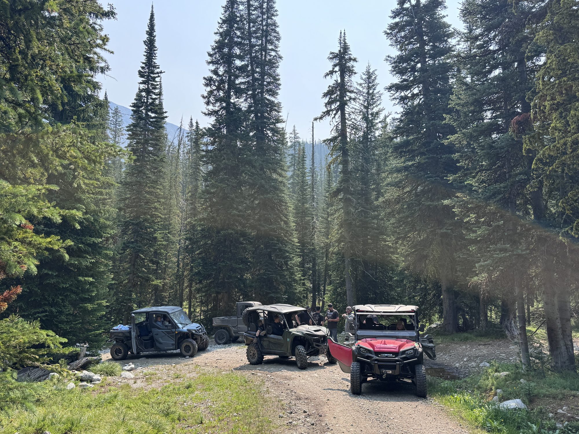 Side-by-sides gathered on a forest road in the tall pines